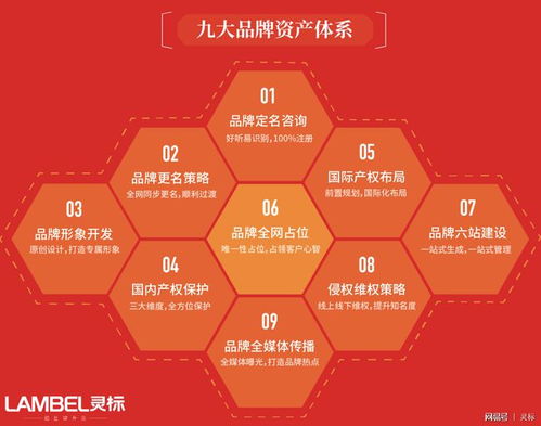 青青國(guó)際攜手國(guó)際品牌管理機(jī)構(gòu)，為參展企業(yè)注入全球品牌新動(dòng)力